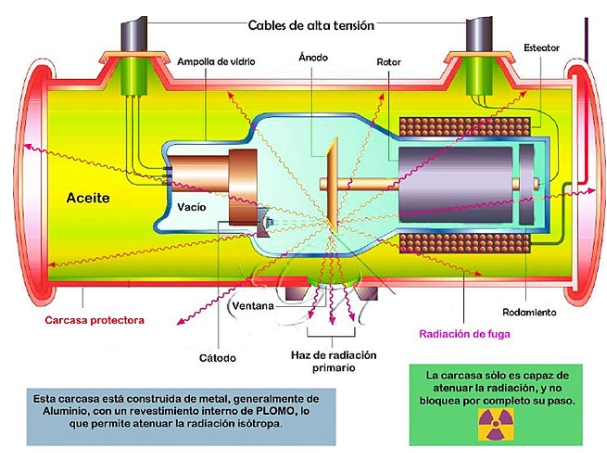 Estructura y modelos del tubo de rayos x