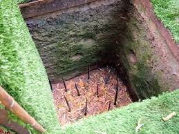 The Burmese tiger pit-- the second trap