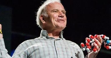 Reacción en cadena de la polimerasa (PCR)