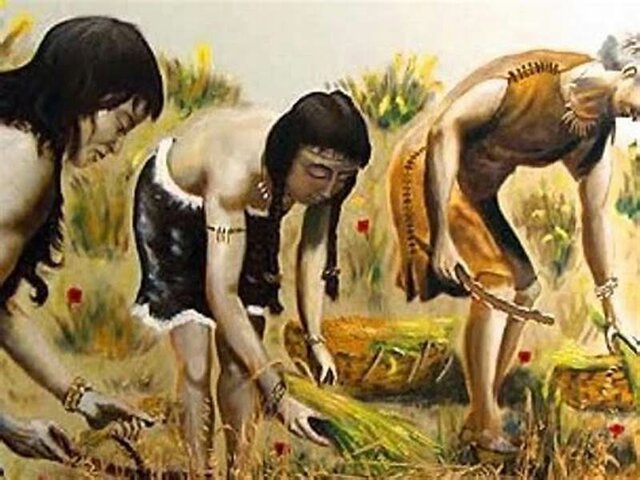 Origen de la economía solidaria