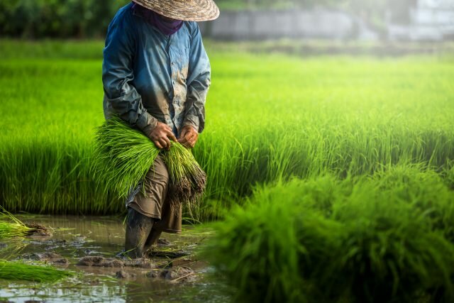 Las comunidades autosuficientes