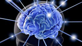 Timeline: BREVE HISTORIA DEL PENSAMIENTO SISTÉMICO