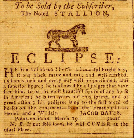 The First Print Advertisements