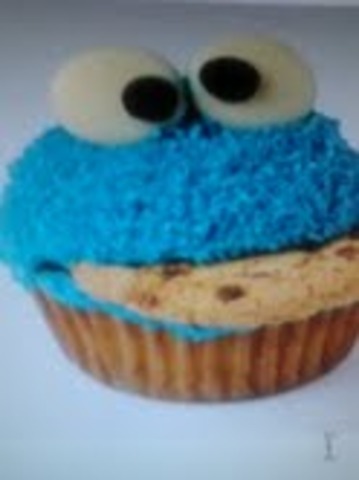 a year of the Earth going round