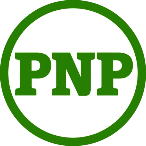 El Partido Nacional Porfirista (PNP)