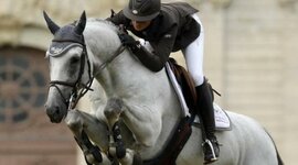 Timeline: Developmental Psychology