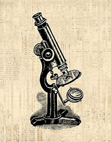 La primera referencia segura sobre el microscopio