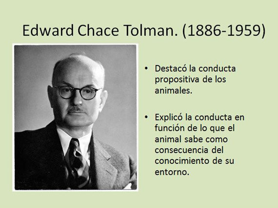 CONDUCTISMO Edward C. Tolman ¨Conducta propositiva en animales y en humanos¨