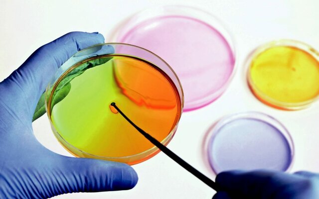 Se ignagura la microbiologia aplicada