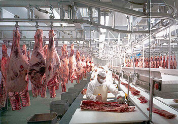 Siglo XVIII -  XIX d.C