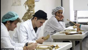 començant la Universitat