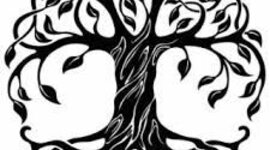 Timeline: Línia temporal