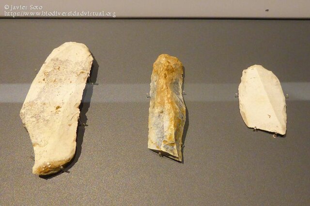 Raspador(Paleolític)