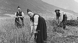 Timeline: The Norway