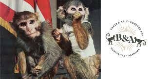 First animals to return ALIVE from space