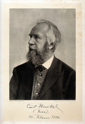 The term ecology is coined in German as Oekologie by Ernst Heinrich Philipp August Haeckel