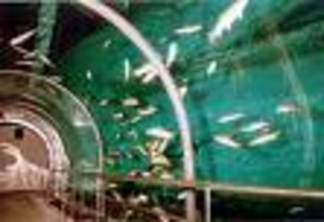 La ecología acuática