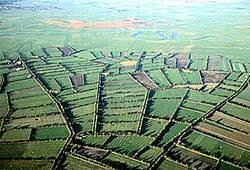 The Enclosure Movement (the 1800 and 1900s)