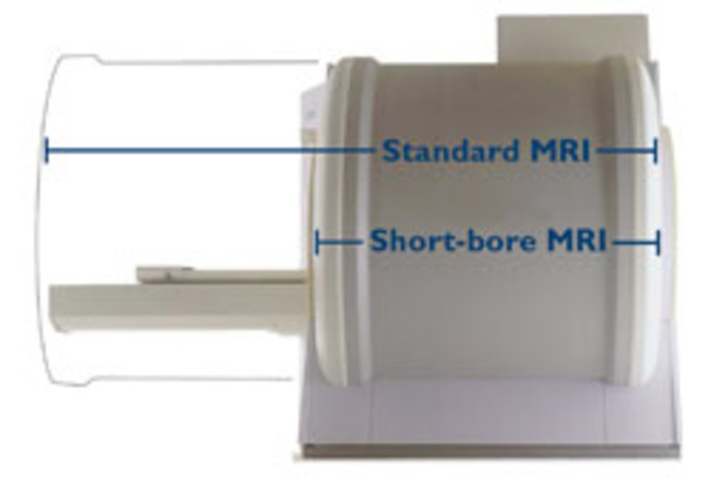 Ogawa's Team at Bell Laboratories Invent Functional Magnetic Resonance Imaging (fMRI)