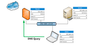 DNS