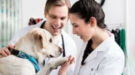 Timeline: Short Term Smart Goal