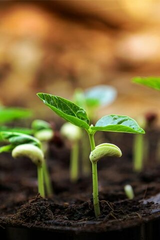 La historia de la tecnología