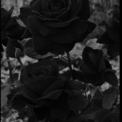 Timeline: Brianna's Life Path