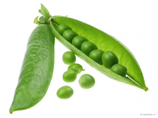 Experimenten Gregor Mendel