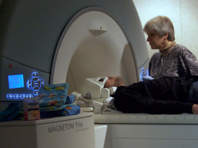 Puce Maps Visual Stimuli Differences