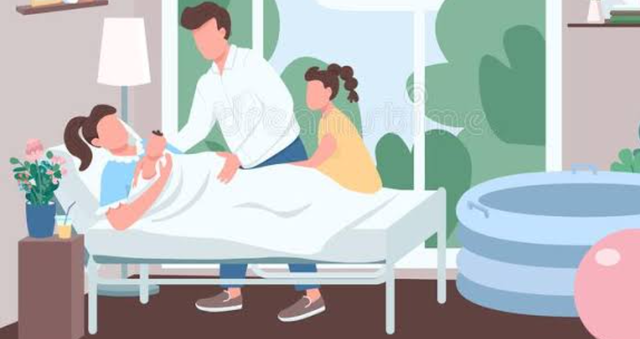 CARRERA DE PARTERA SEGÚN EL BOLETÍN DE INSTRUCCIÓN PÚBLICA