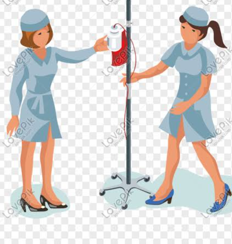 OCUPACIÓN DE LOS PUESTOS DE LAS ENFERMERAS ALEMANAS