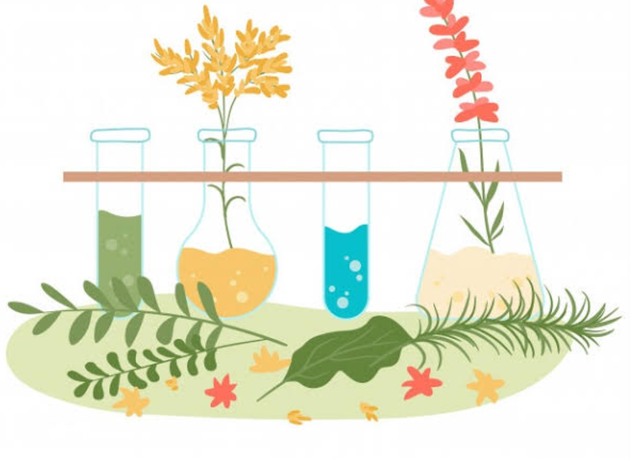 ESCUELA DE MEDICINA HOMEOPÁTICA