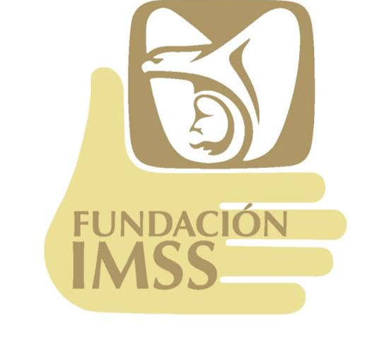FUNDACIÓN DEL IMSS