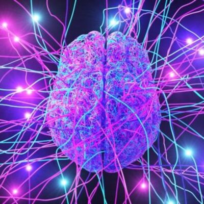 Timeline: Neurociencias De La Conducta. Eje 1 por Ana Maria Giraldo Ramirez 1A - 302