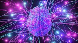 Timeline: Neurociencias De La Conducta. Eje 1 por Ana Maria Giraldo Ramirez 1A - 302