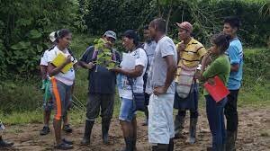 Decreto 1953 de 2014