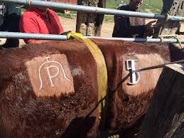 Comienzos del concepto "Marca"