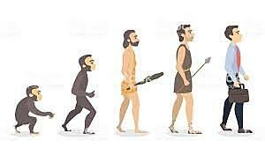 Historia de la administración