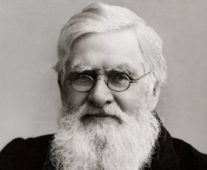 Alfred Wallace