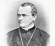 Mendel publica as suas ideias sobre a hereditariedade.