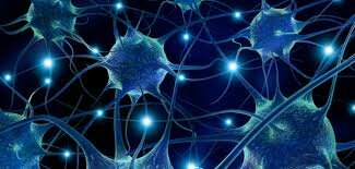 CONDUCTISMO Iván Pávlov ¨Actividad nerviosa superior¨