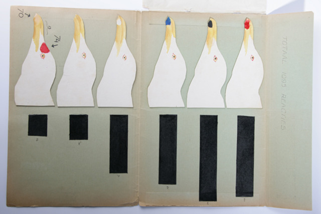 1. Onderzoek zilvermeeuwen Tinbergen