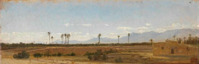 Palmeras de Elche - Carlos de Aes (ESP)