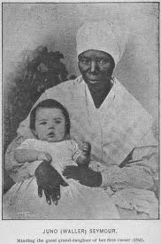 Pregnant Slave Population