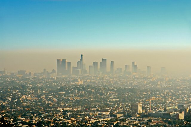 Smog Coined