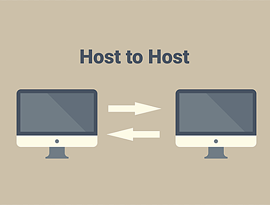 ARPANET usa protocolo Host-to-Host