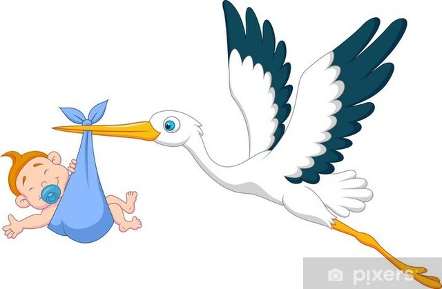 Nasce il mio fratellino, Andrea