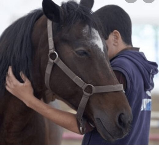 L'incontro con Cairo