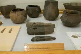 Use of Stone tools