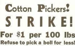 cotton pickers strike